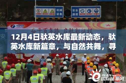 驮英水库最新动态，与自然共舞，探寻宁静港湾的新篇章