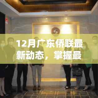 12月广东侨联最新动态详解与参与指南，掌握资讯，积极行动