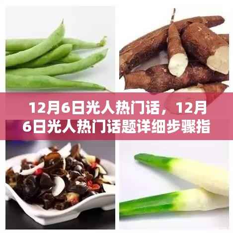 12月6日光人热门话题详解,从初学者到进阶用户的实用指南