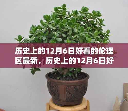 历史上的12月6日好看的伦理区最新,历史上的12月6日好看的伦理区最新,深度评测与介绍