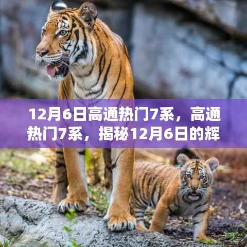 fanglanjingti 第4页