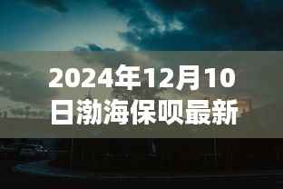 渤海秘境探秘,渤海保呗最新版的独特小店之旅(2024年12月版)