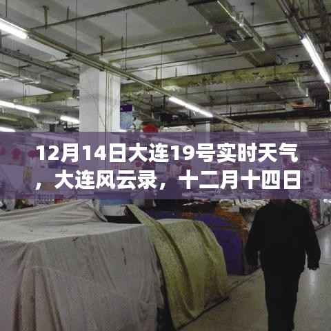 jingxianzhiniao 第4页