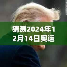 CNN视角下的2024年奥运会实时奖牌榜,视角切换与深度思考