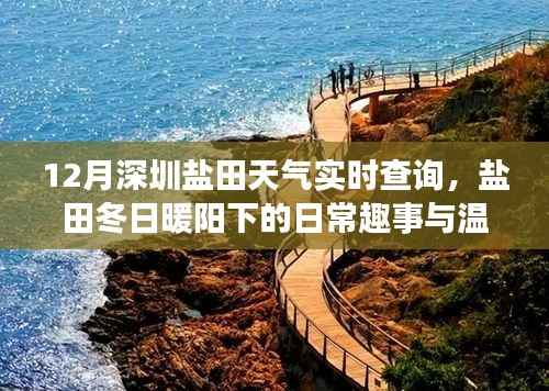 目不转睛 第5页