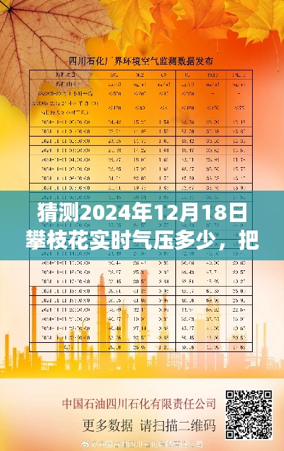攀枝花未来气压预测与励志之旅,把握变化,自信前行于2024年12月18日实时气压探寻之路。