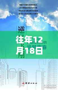 逆风翱翔,现实时代生存秘籍与生存方法指南