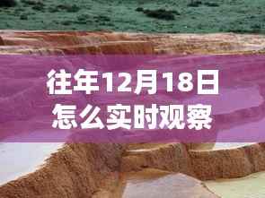 疫情之下的心灵之旅,实时观察疫情与与自然美景的邂逅历程