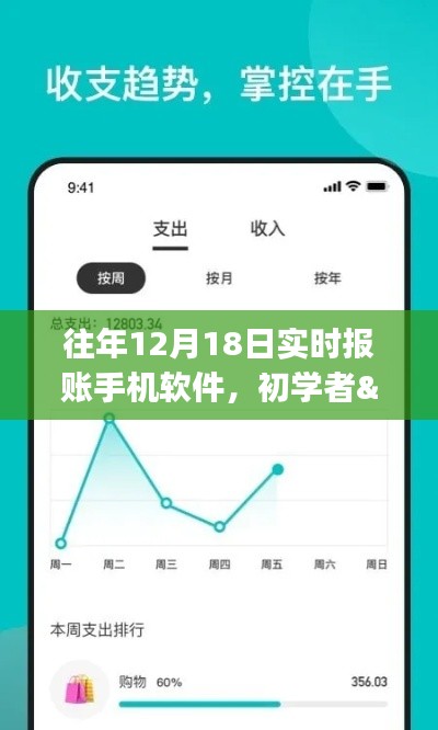 往年12月18日报道,实时报账手机软件操作指南——适合初学者与进阶用户的使用指南