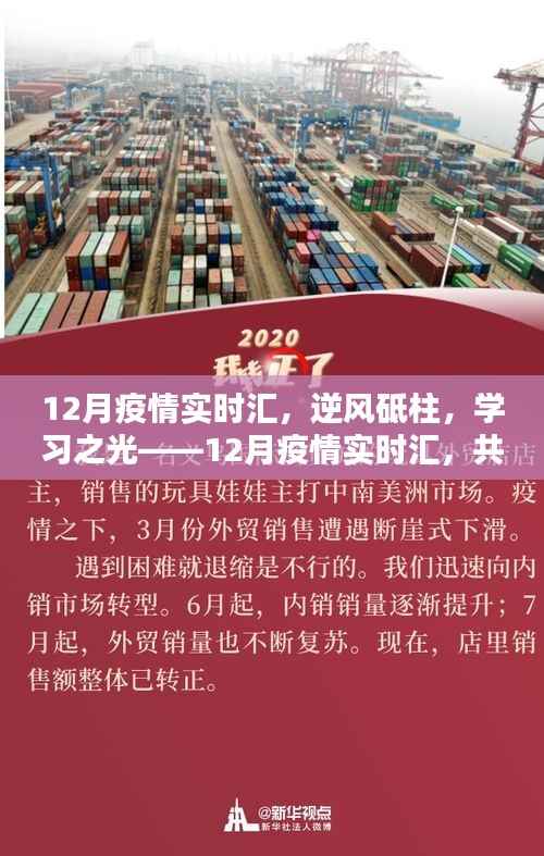 逆风砥柱，学习之光，12月疫情实时汇报，共筑希望桥梁