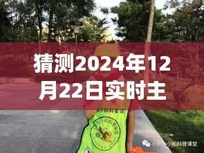 未来桌面软件的奇妙探索,2024年12月22日主题桌面软件猜想与内心宁静的追寻