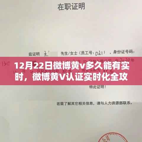 微博黄V认证实时化全攻略，最新流程解析与等待时间预测
