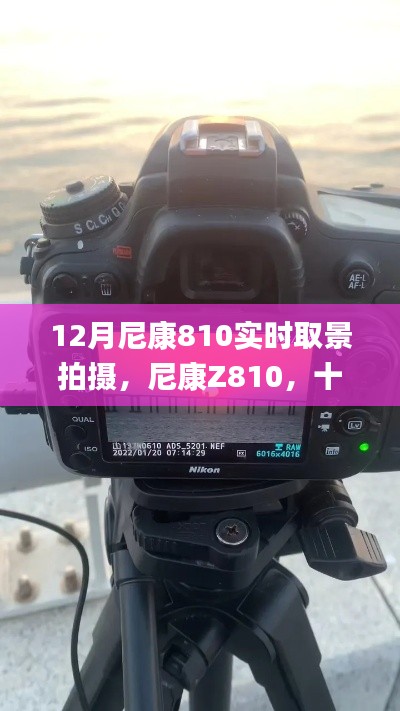 尼康Z810十二月实时取景拍摄秘籍,小红书上的摄影秘籍大公开!