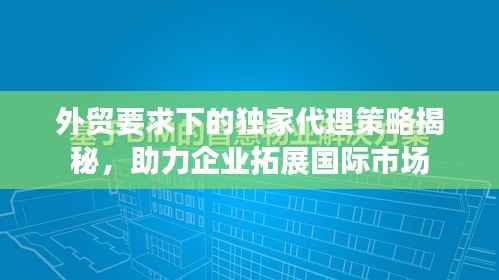 外贸要求下的独家代理策略揭秘,助力企业拓展国际市场