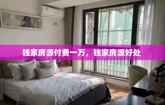 独家房源付费一万,独家房源好处
