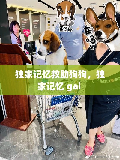 正襟危坐 第3页