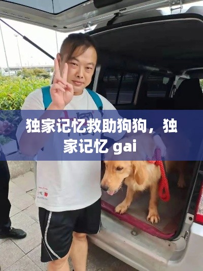 独家记忆救助狗狗,独家记忆 gai