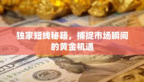 独家短线秘籍,捕捉市场瞬间的黄金机遇