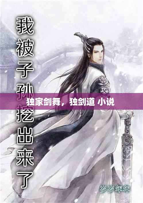 独家剑舞,独剑道 小说