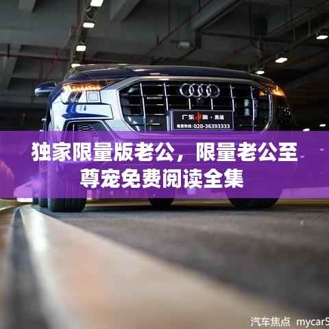 独家限量版老公,限量老公至尊宠免费阅读全集