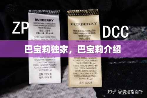 巴宝莉独家,巴宝莉介绍