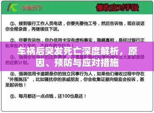 车祸后突发死亡深度解析,原因、预防与应对措施