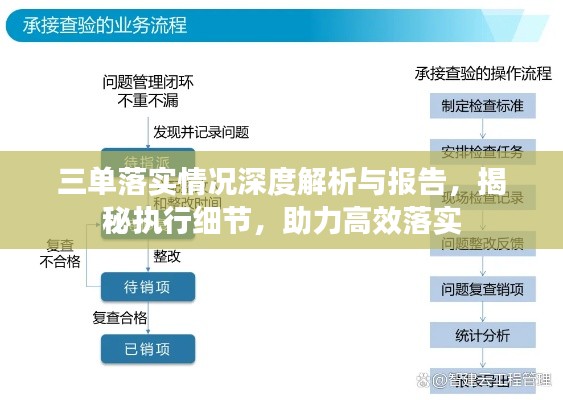 三单落实情况深度解析与报告,揭秘执行细节,助力高效落实