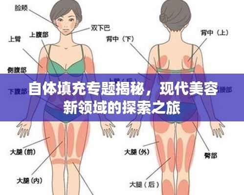 联系我们 第215页