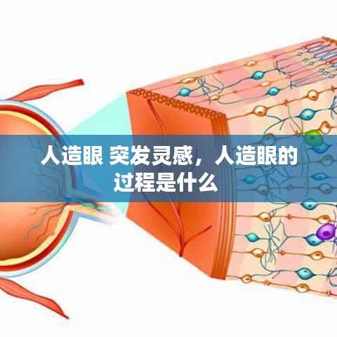 人造眼 突发灵感,人造眼的过程是什么