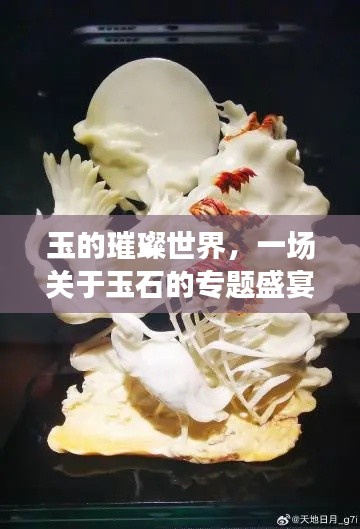 玉的璀璨世界,一场关于玉石的专题盛宴