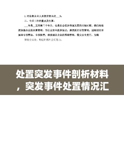 处置突发事件剖析材料,突发事件处置情况汇报