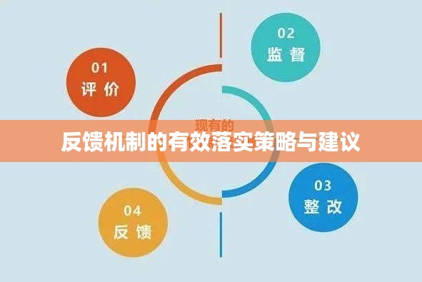 反馈机制的有效落实策略与建议