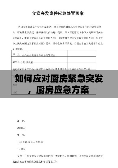 如何应对厨房紧急突发,厨房应急方案