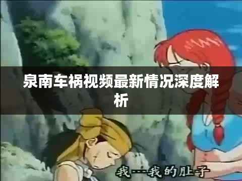 泉南车祸视频最新情况深度解析