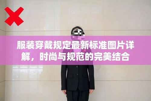 服装穿戴规定最新标准图片详解,时尚与规范的完美结合
