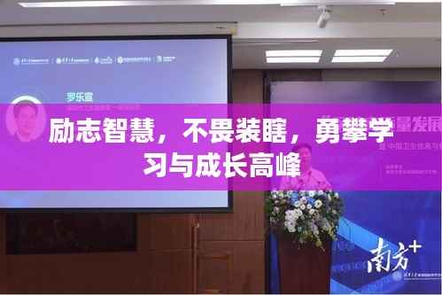 励志智慧,不畏装瞎,勇攀学习与成长高峰