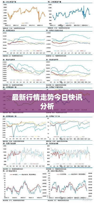 最新行情走势今日快讯分析
