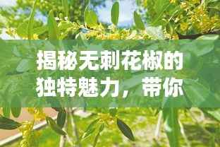 揭秘无刺花椒的独特魅力,带你探索不一样的花椒世界!