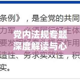 党内法规专题深度解读与心得体会