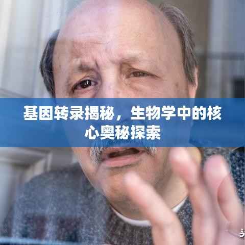 基因转录揭秘,生物学中的核心奥秘探索