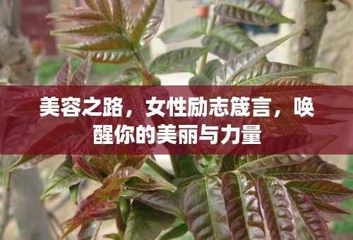 美容之路，女性励志箴言，唤醒你的美丽与力量