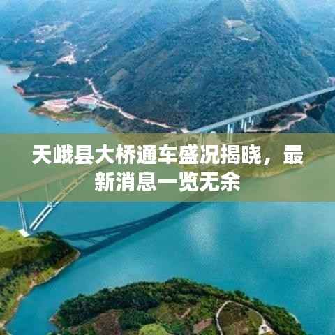 天峨县大桥通车盛况揭晓，最新消息一览无余