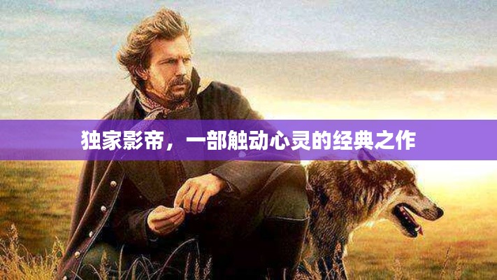 独家影帝,一部触动心灵的经典之作