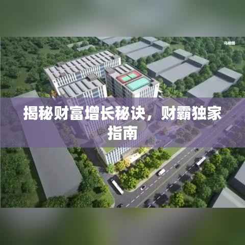 揭秘财富增长秘诀,财霸独家指南