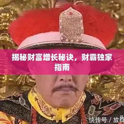 揭秘财富增长秘诀,财霸独家指南