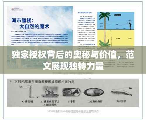 独家授权背后的奥秘与价值,范文展现独特力量