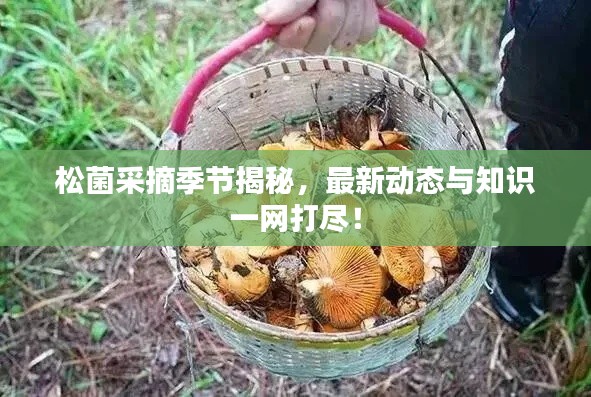 考级报名 第162页