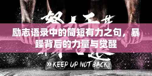 励志语录中的简短有力之句,暴躁背后的力量与觉醒