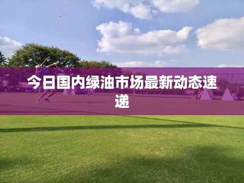 今日国内绿油市场最新动态速递