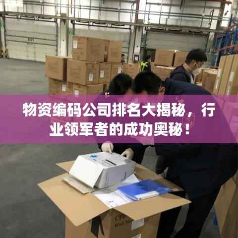 物资编码公司排名大揭秘,行业领军者的成功奥秘!